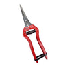 Straight Head Garden Shears Pruning
